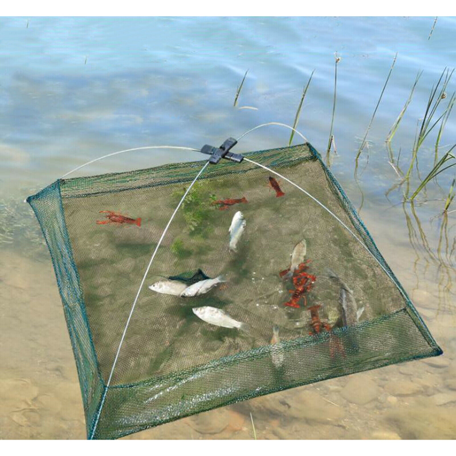 60cm Folded Fishing Net Shrimp Crayfish Minnow Crab Bait Dip Cage Trap