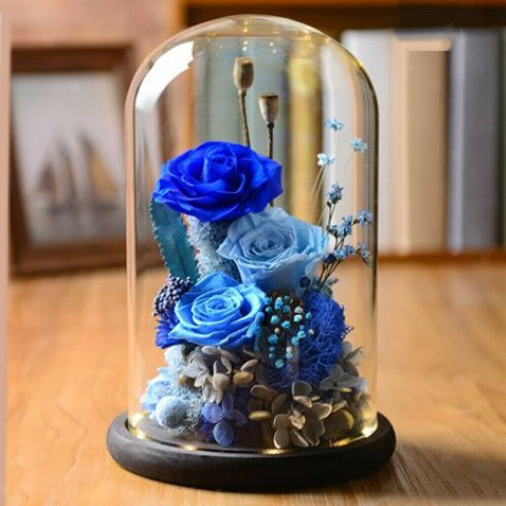 5Pcs 7x12cm Decorative Clear Glass Display Dome Cloche Bell Jar Brown