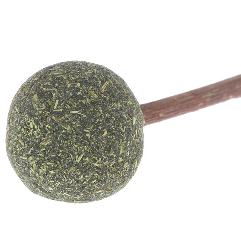 Catnip Chewing Teeth Cleaning Treats Lollipop Natural Catnip Lollipop Sh .l8