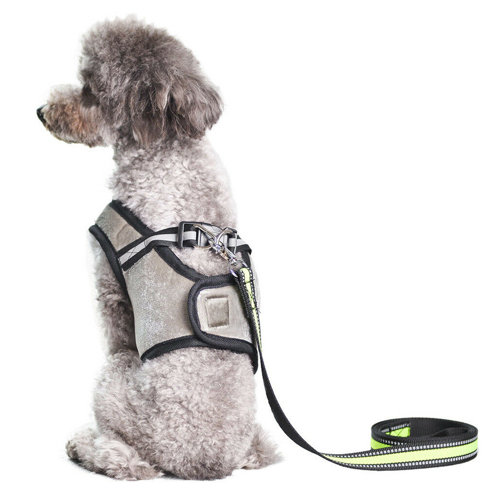 Pet Dog Adjustable Outdoor Training Harness Vest for Pet Outdoor Wear M