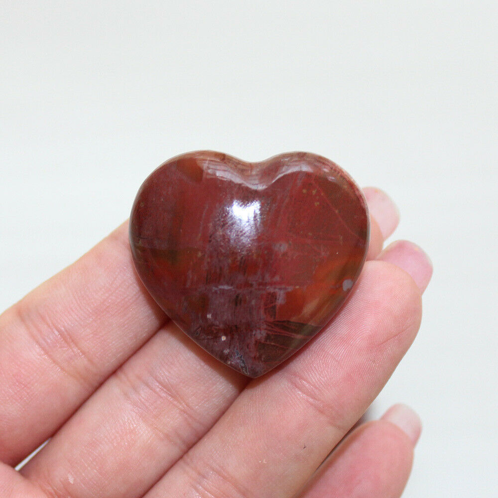 1PC Natural Red Petrified Wood Heart Fossilized Crystal Agate Mineral Madagascar
