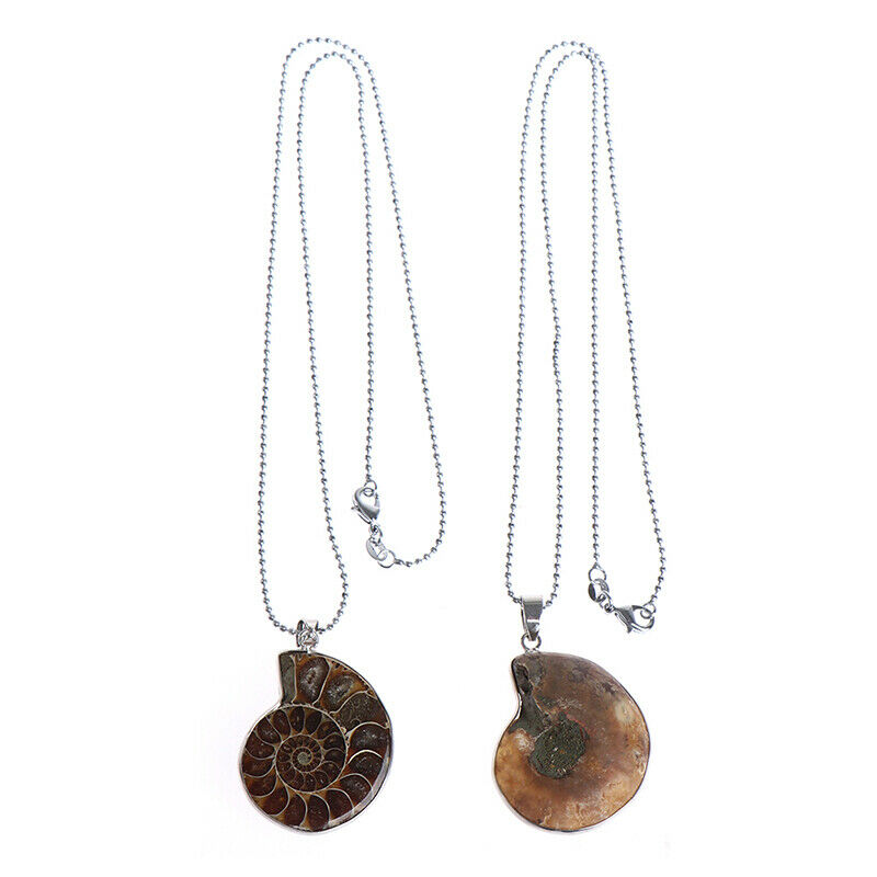 Natural Stones Pendants Ammonite Fossils Seashell Snail Conch Necklace Je.l8