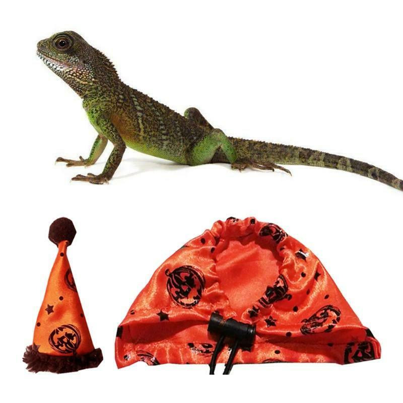 Bearded Dragon Costume Set Orange Hat and Cloak Lizard Clothes Resizable