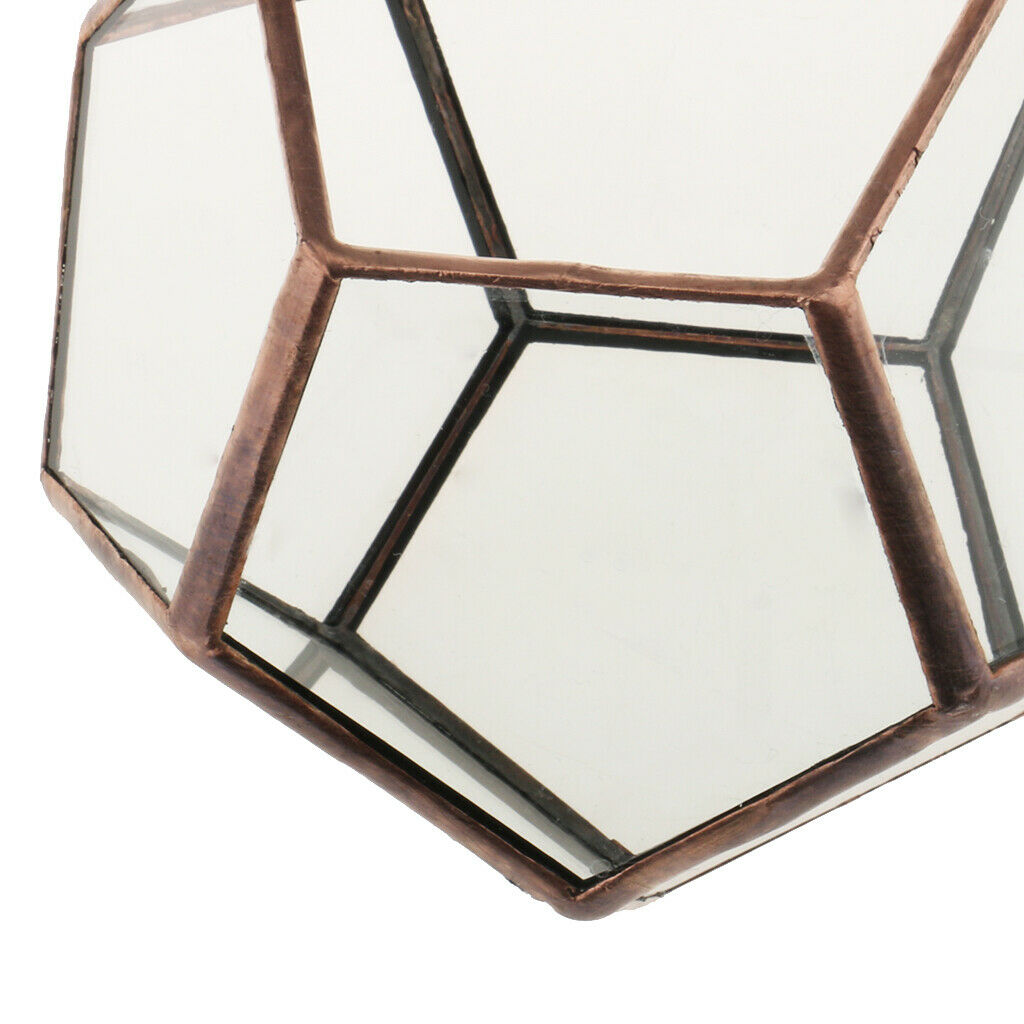 2x Glass Brass Terrarium Box Tabletop Succulent Plant Planter Flower Pot