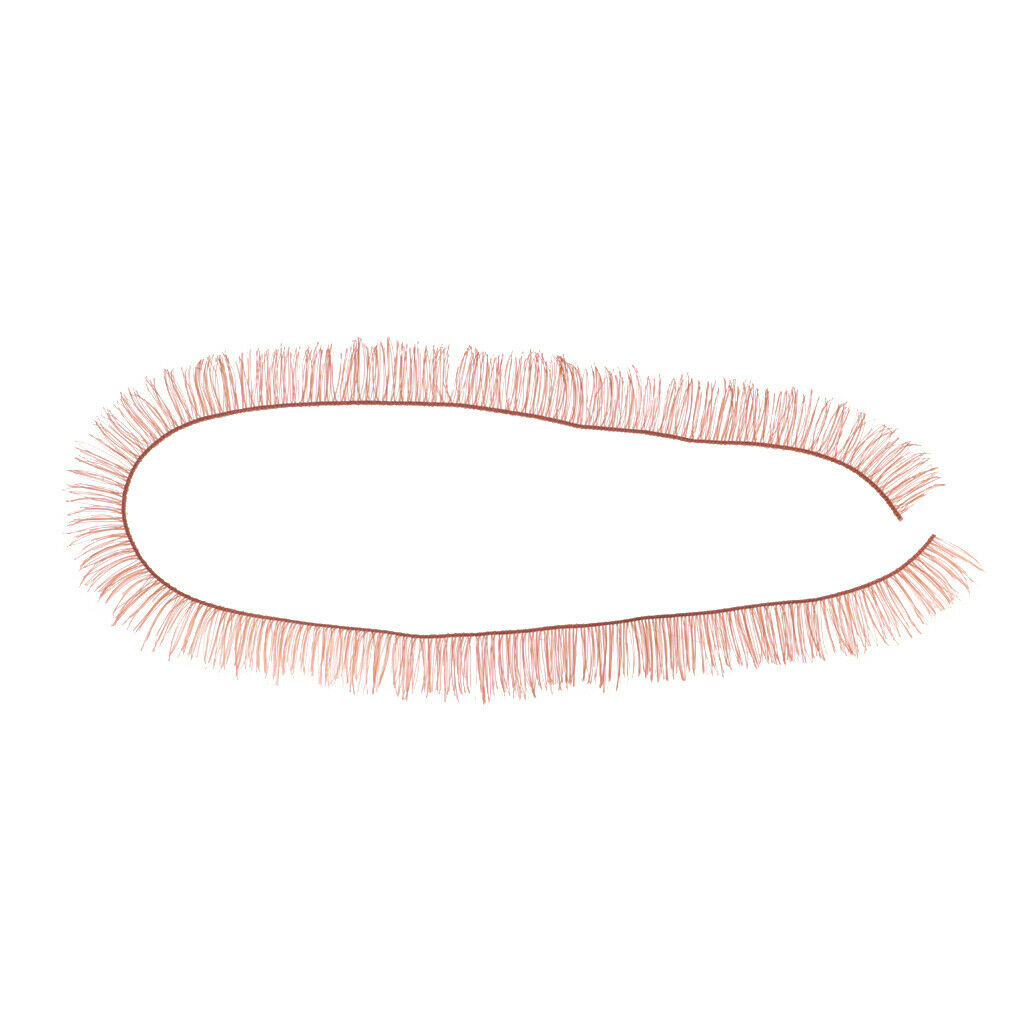20pcs Eyelash Extension Kits Set False Lashes Tool Curly Eyelashes For Makeup
