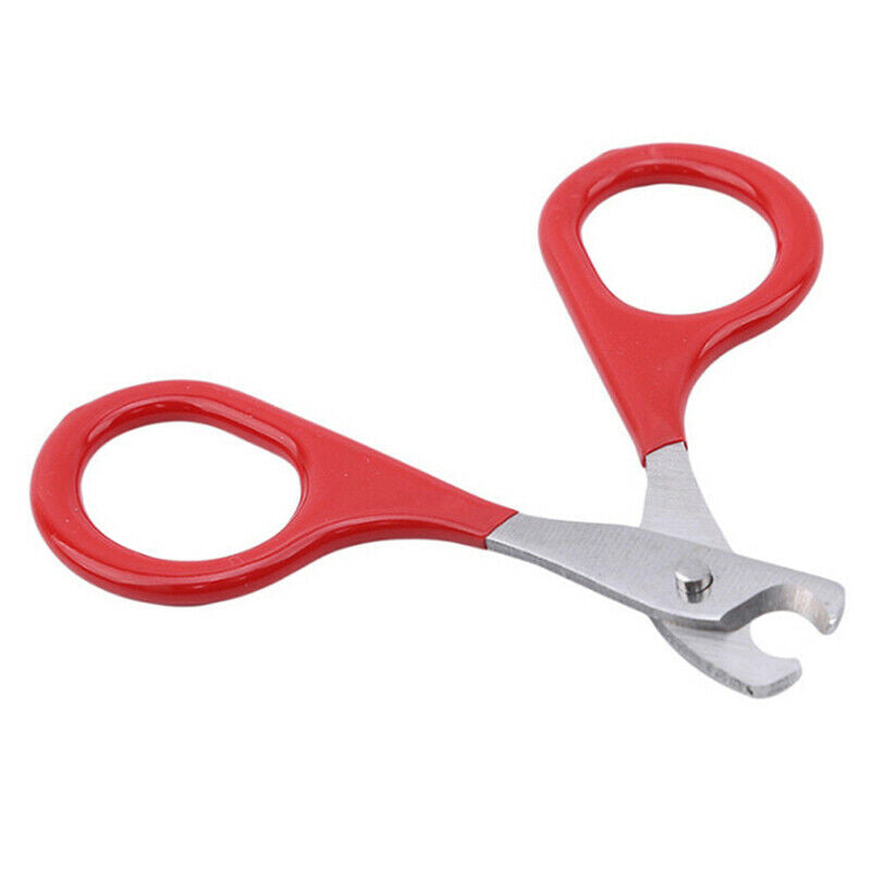 Cat Nails Scissors Pet Cat Claw Care Tools Pet Supplies Accessories Pet To JYDF