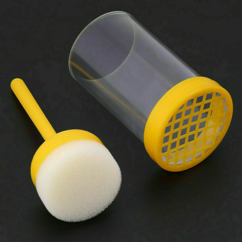 New Beekeeping Tools 1 Queen Bee Marking Cage, Enlarged Transparent Marking Bott