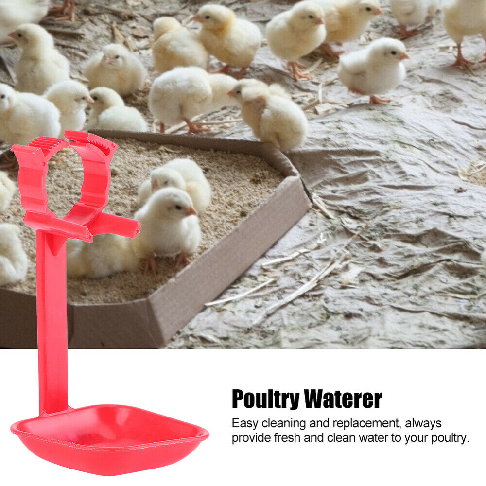20Pcs Chicken Drinker Nipple Waterer Hanging Cup Drinking Water Tool Farm kit