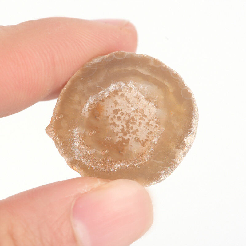 5Pcs Geodes Oco Agate Natural Crystals Druzy Halves Quartz Specimen.l8