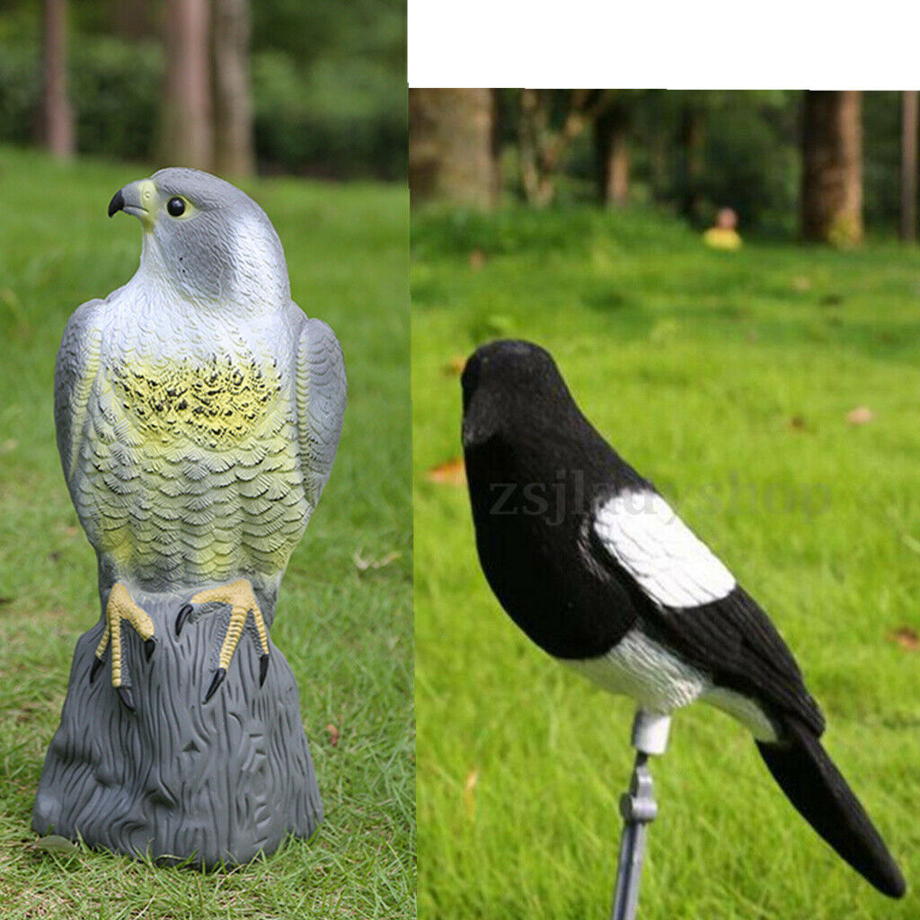 Realistic Falcon & Magpie Scare Cat Scarer Rabbit Bird Repeller Pest Control