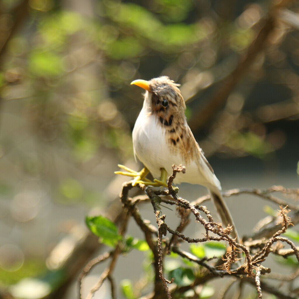 2 X Micro DIY Artificial Feathered Bird Sparrow