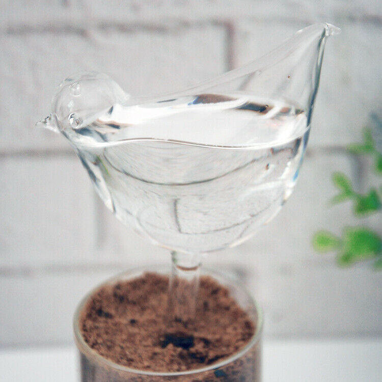 4x Glass Plant Flower Water Feeders Device Self Watering Waterer Accessories