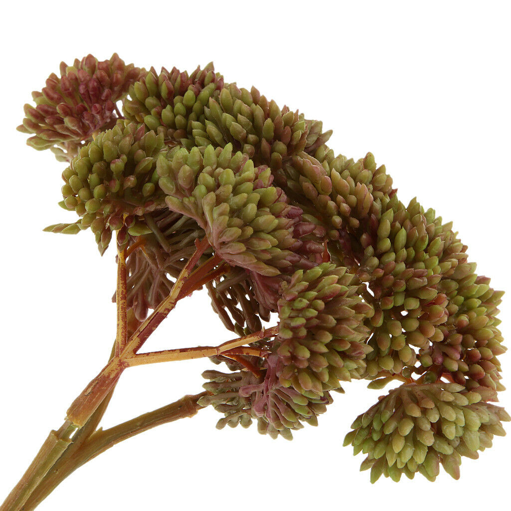 Artificial Fruit Succulent Grass Desert Plant DIY Flower Arrangement Brown