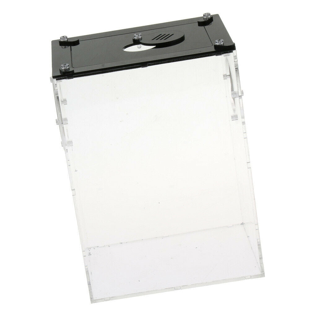 Acrylic Reptile Terrariums Plant Feeding Tank Lizard Breeding Box Reptiles