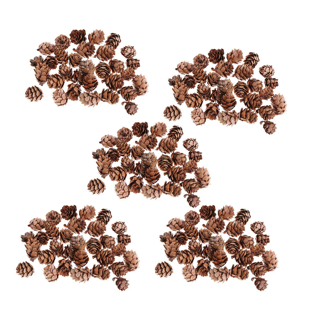 150x Decorative Pinecone Pine Cones Vase Bowl Filler Displays Crafts