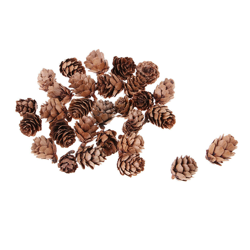 30x Small Natural Dried Pine Cones in Bulk Dried Flower for Christmas Decoration