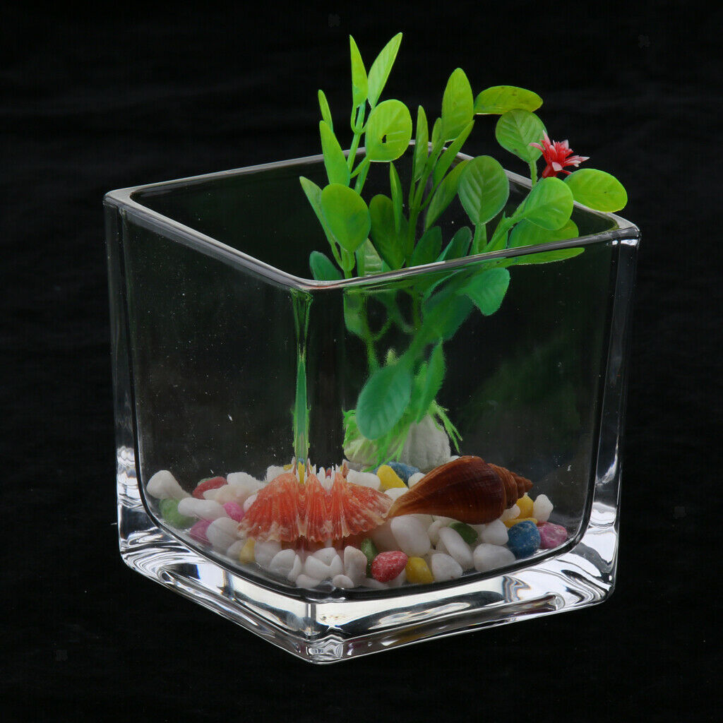 Square Transparent Glass Bowl Clear Vase Fish Turtle Tank Jar Wedding Decor
