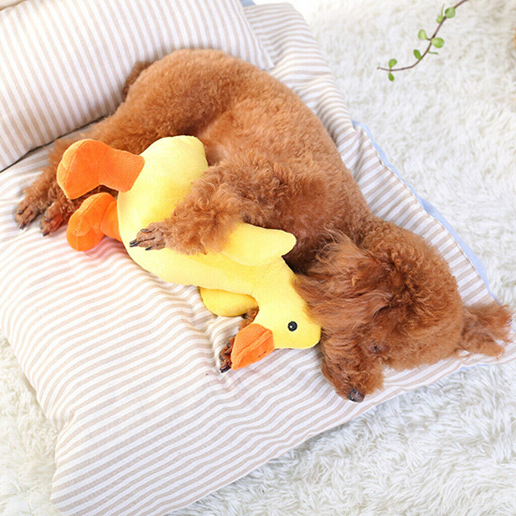 Plush Cute Dog Squeaky Toys for Puppy Small Medium Dogs