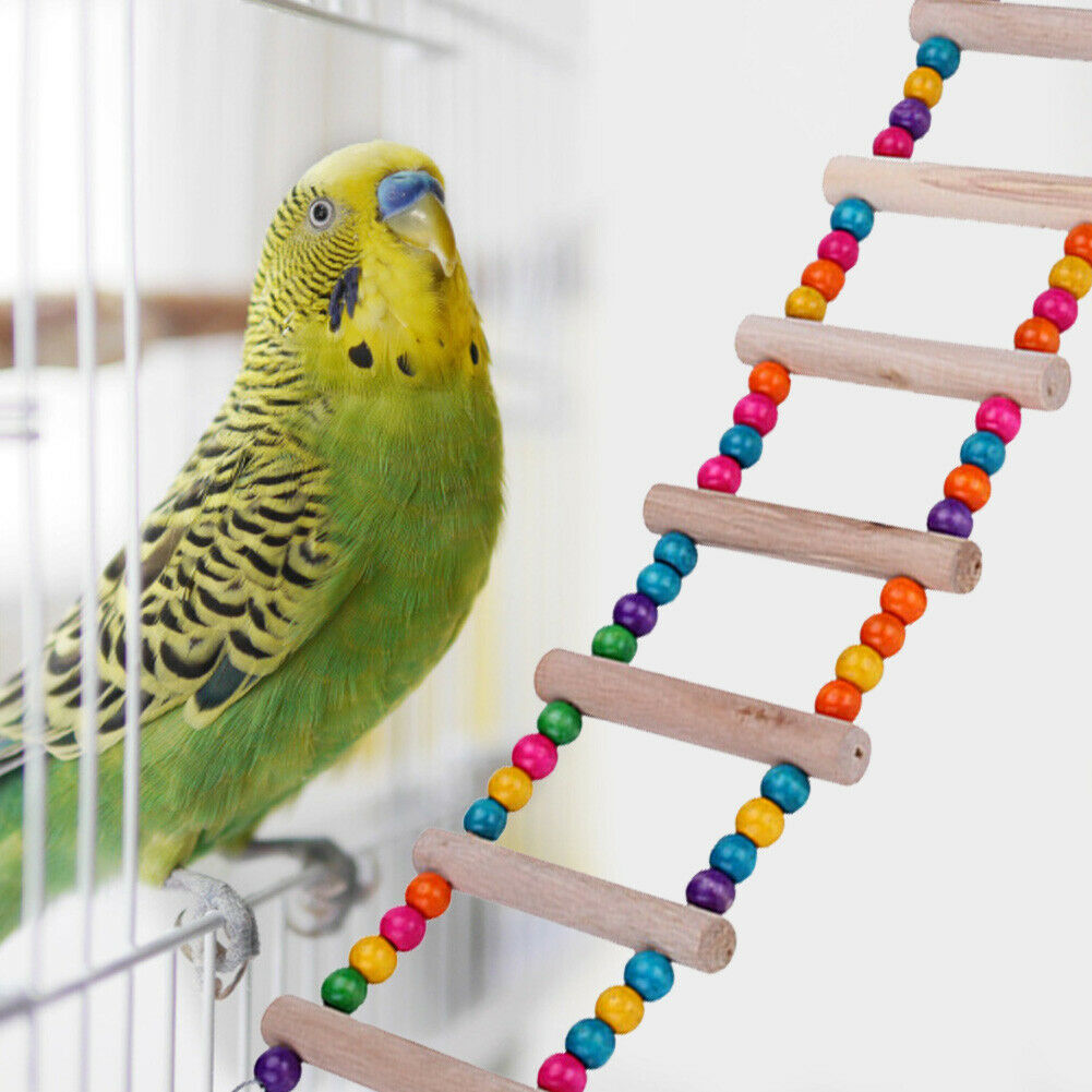 Pet Parrot Ladder Hanging Colorful Balls Wooden Bird Climbing Stairs Perch @