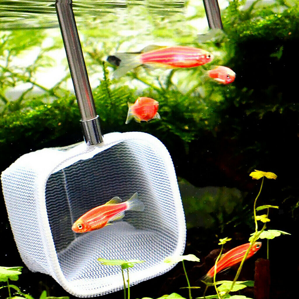 Small Aquarium Shrimp Retractable   Tank Net Random Color Square