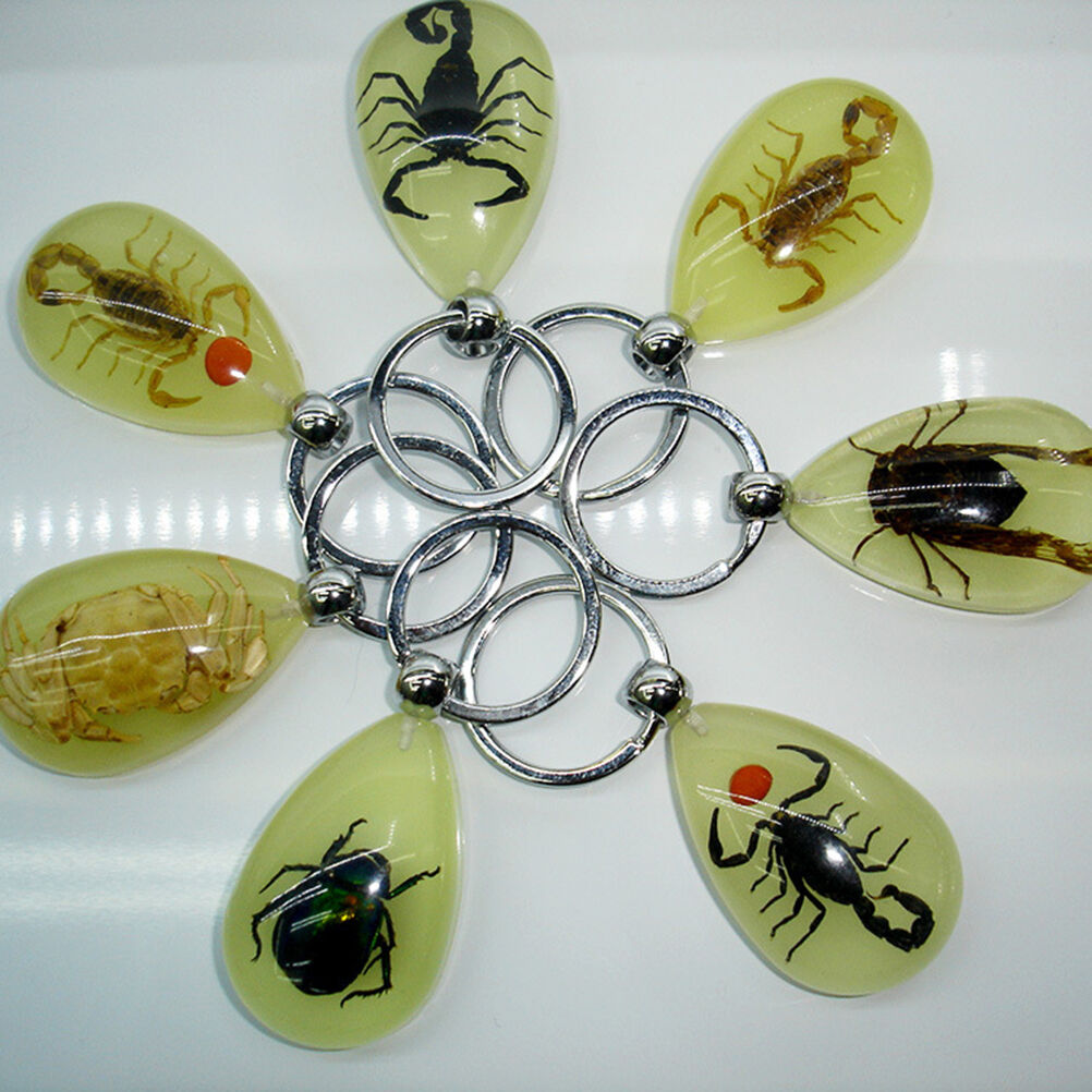 Scorpion Glow Lucite Keyring Keychain Insect Jewelry Taxidermy Gif.l8