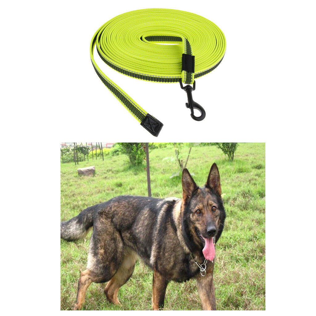 10M Extra Long Dog 10m Cat Leash Training Long Obedience Line for Tracking