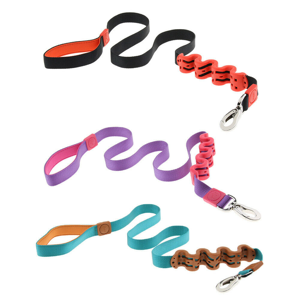 Pet Dog Walking Training Belt Bungee Leash Anti-Shock Stretch Rope Black