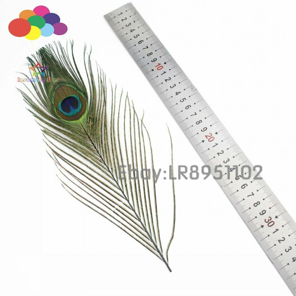 100pcs 25-30 cm Beautiful Black Peacock Tail Feathers Eyes Decorations Art Dress