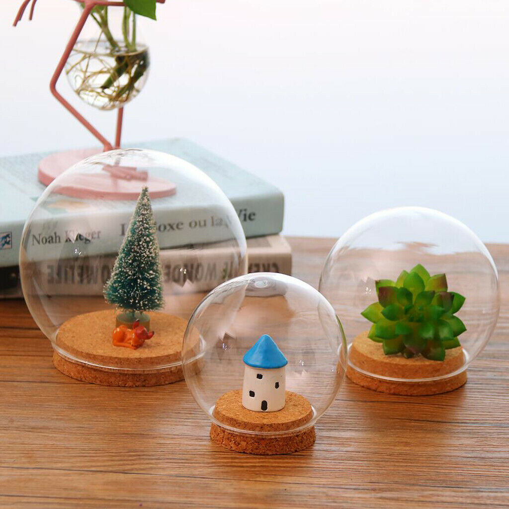 2pcs Creative Clear Glass Plant Terrarium, DIY Mothers Day Gift Making,