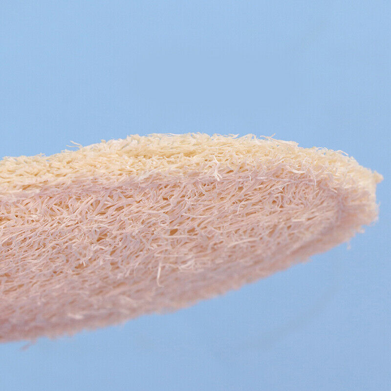 2pcs Dish Washing Loofah Cloth Sponge Scrubber Cleaner Natural Kitchen Clean  DF