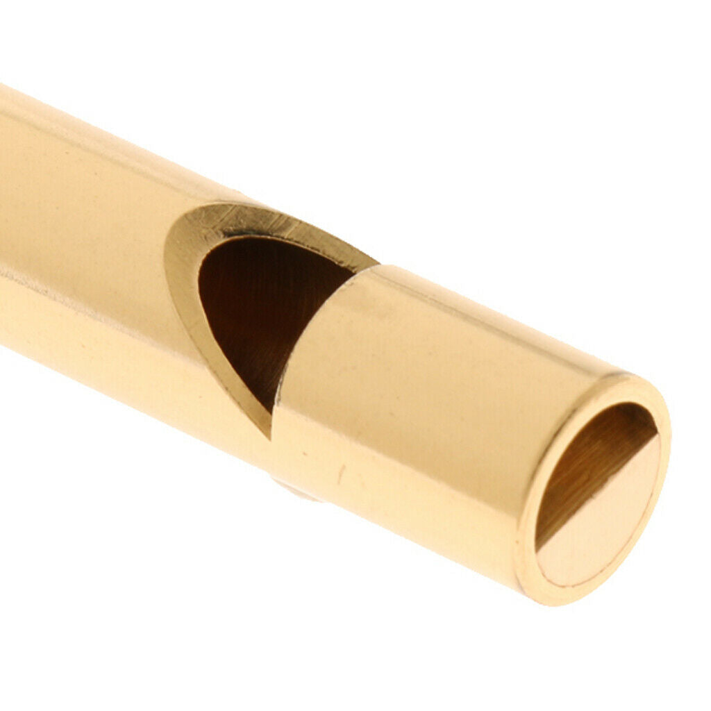 Professional Dog Whistle for Bark Control and Obedience Training Outdoor- Train