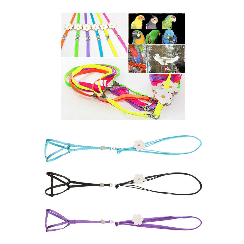 Reusable Nappies  Cloth Diaper & Leash for Small to Medium Birds