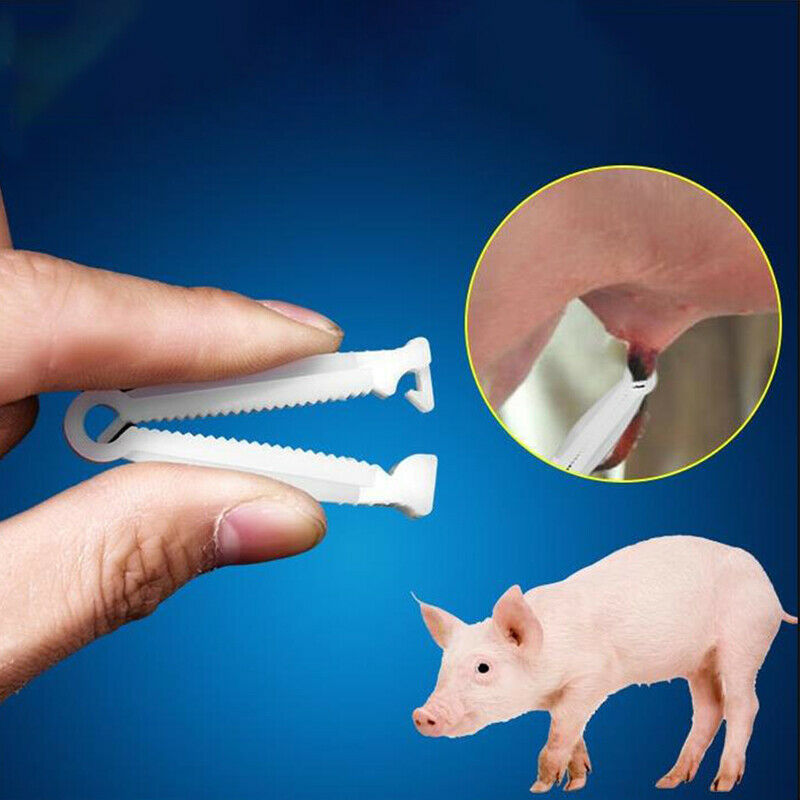 100Pcs Disposable Umbilical Cord Clamps 50mm in Length Puppy Kitten Whelp JYDFA