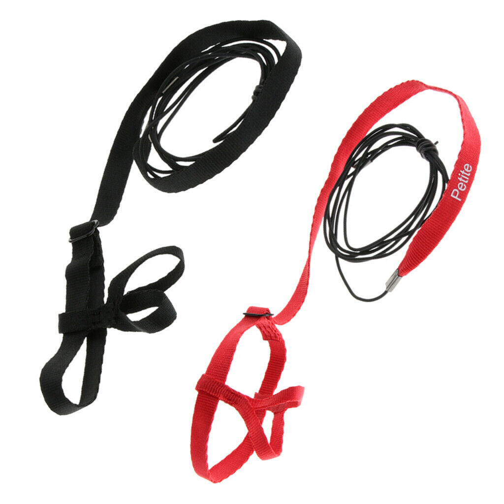 2 Pcs Parrot  Suit Leash Outdoor Adjustable Training Rope Black + Red