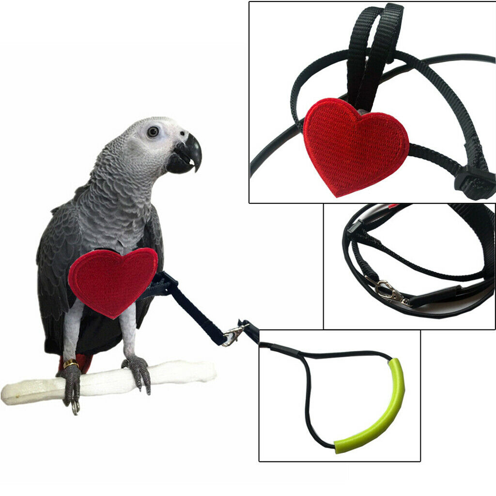 Adjustable Elastic Parrot Bird Leash for Budgerigar Lovebird Cockatiel 105cm