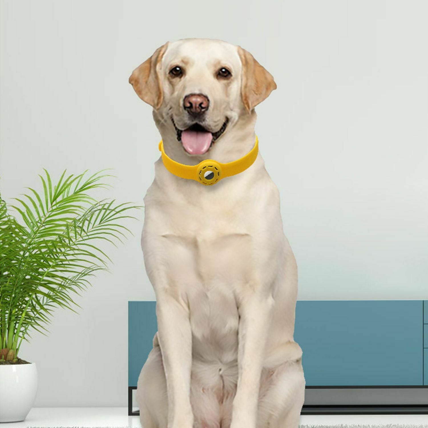 New Durable Bracelet Soft Pet Collar Dog Collars Anti-lost Replacement Strap