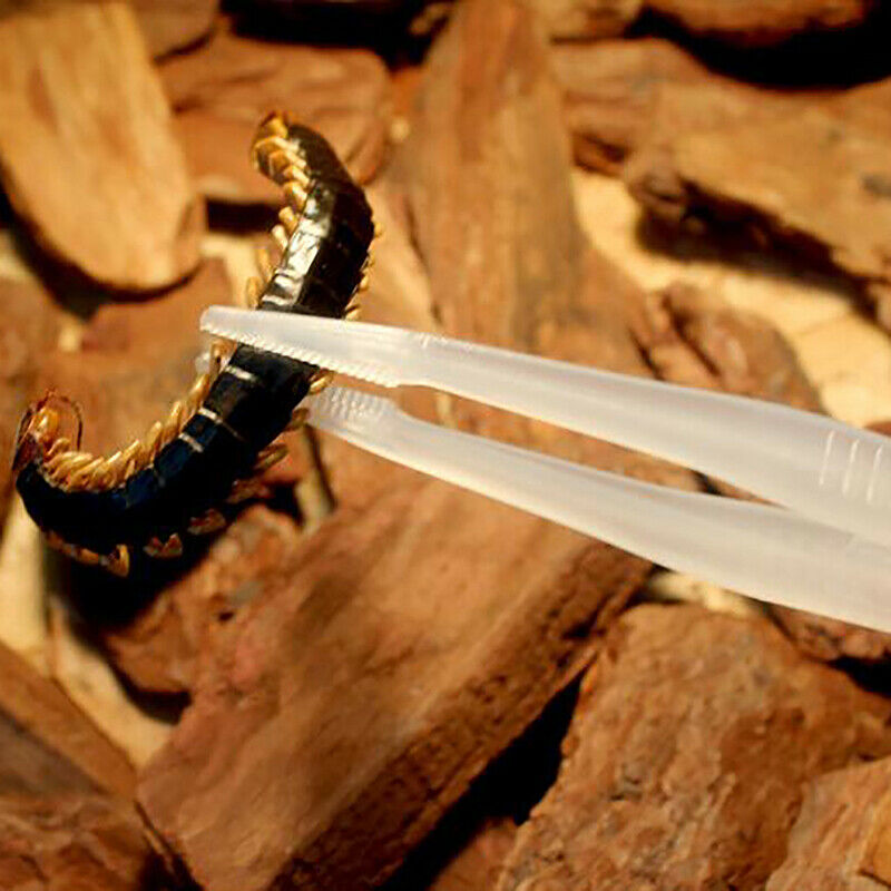 1Pc Reptile Tweezers Noctilucent Clip Feeding Tongs Live Food Feeding Cla.l8