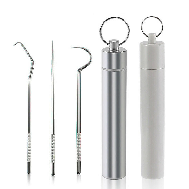 3pcs/set Stainless Steel Toothpick Oral Care Flossing Tool Portable KeychainFCA