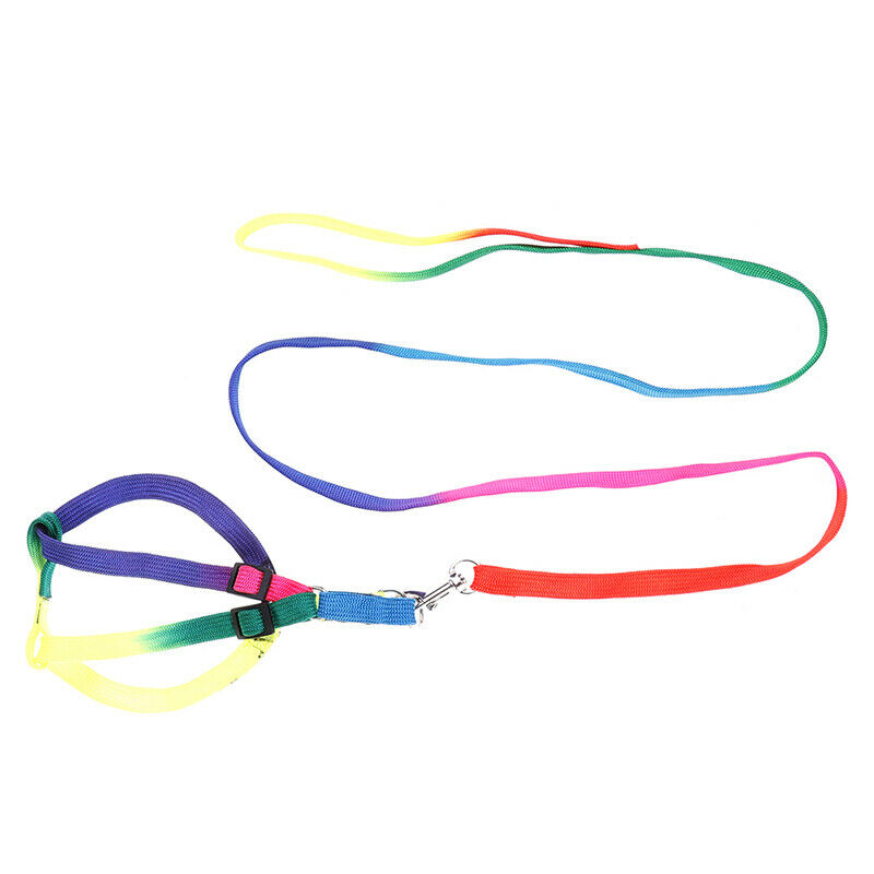 1 Pcs Elastic Rubber Band Tennis Ball Practice Training Belt Line Cord To.l8