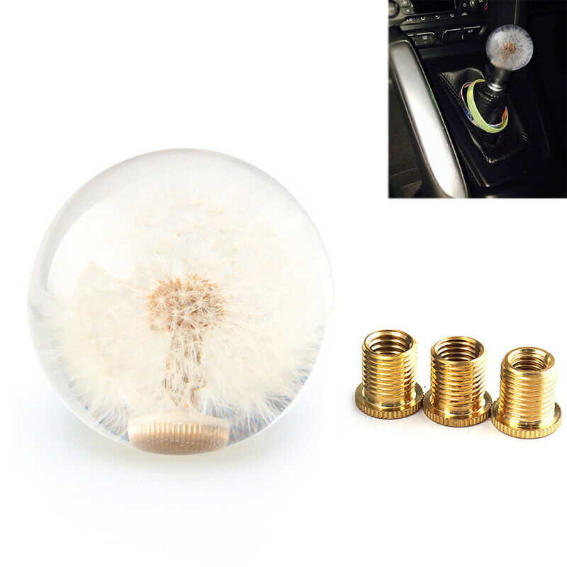Car Shift Knob Head 70MM Crystal Ball with Dandelion Real Flowers M8 M10 Adapter