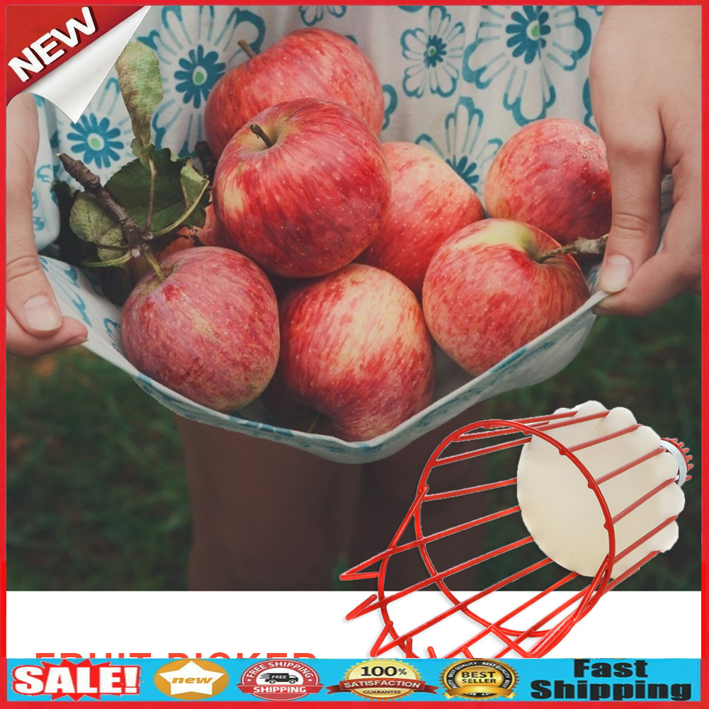 Metal Fruits Picking Tool Greenhouse Apples Peaches Orange Catcher Picker  @