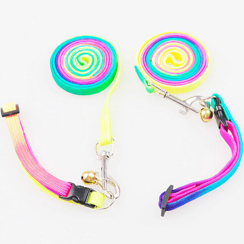 Small Dog Puppy Doggy MultiColor Rainbow Harness Lead Luminous Lead Leash ATDD