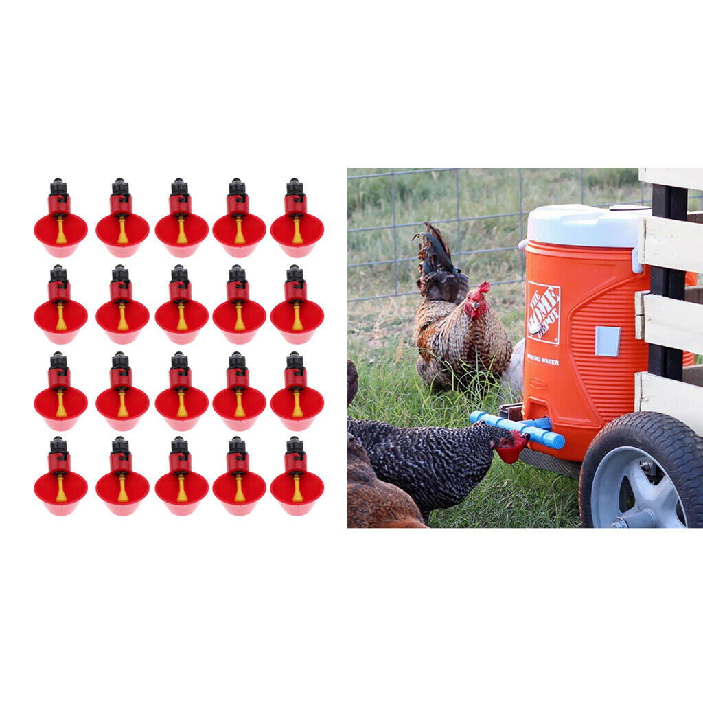 20 Pieces Poultry Pigeon Drinking Bowl Dishes for Automatic Waterer Red