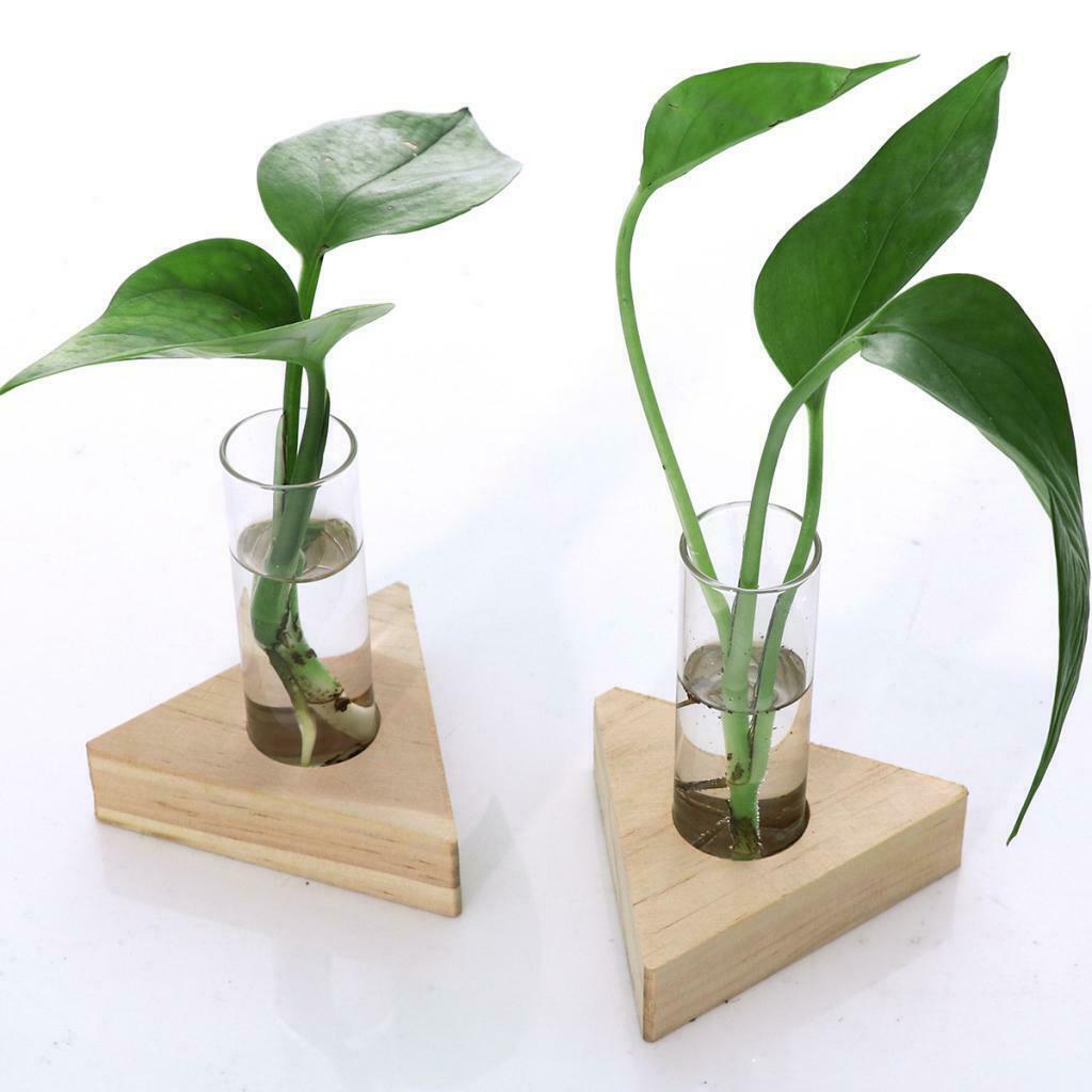 2pcs Glass Test Tube Vase In Wooden Stand For Hydroponic Plants DIY Planting