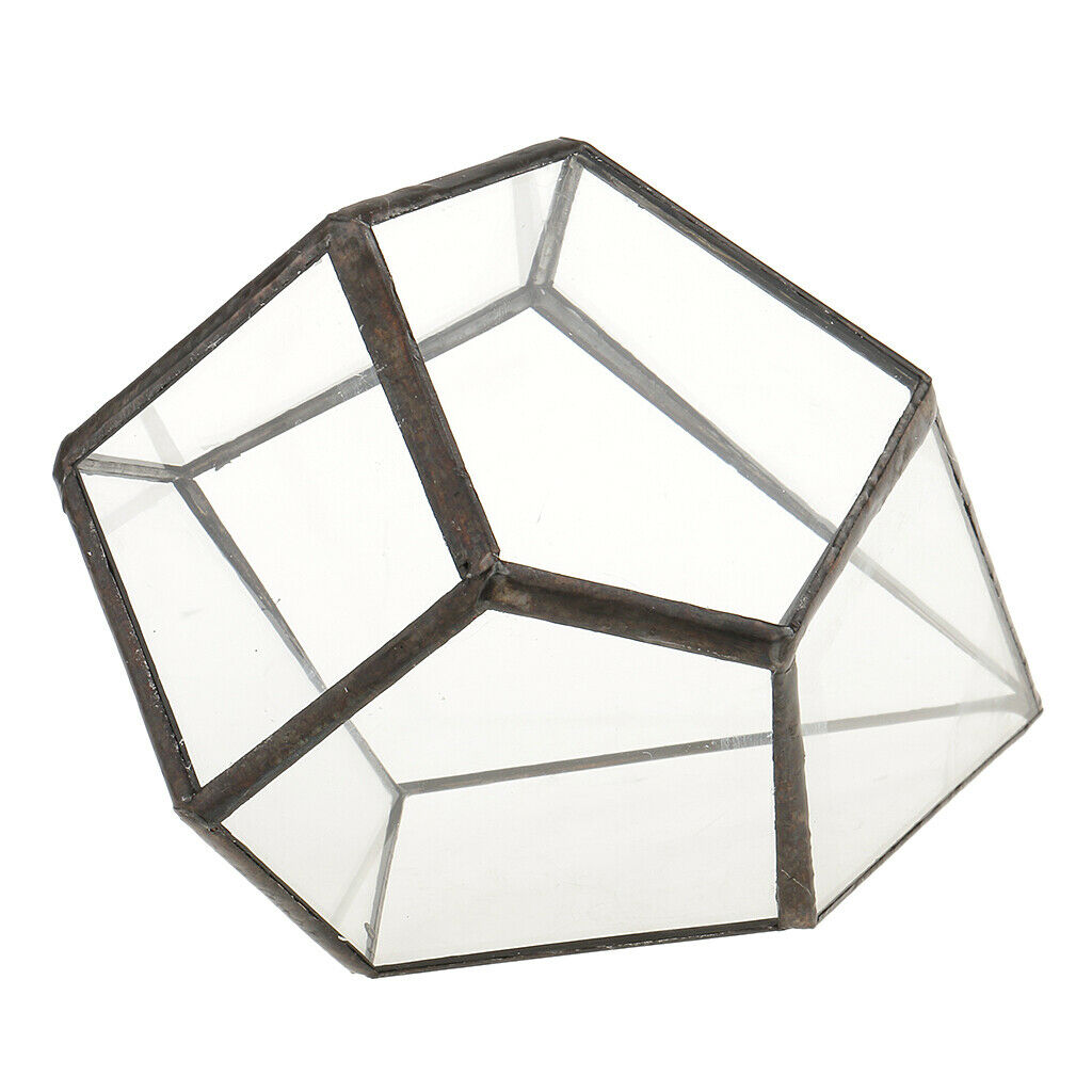 Clear Glass Terrarium Box Open Fern Moss Succulent Planter Case Flower Pot
