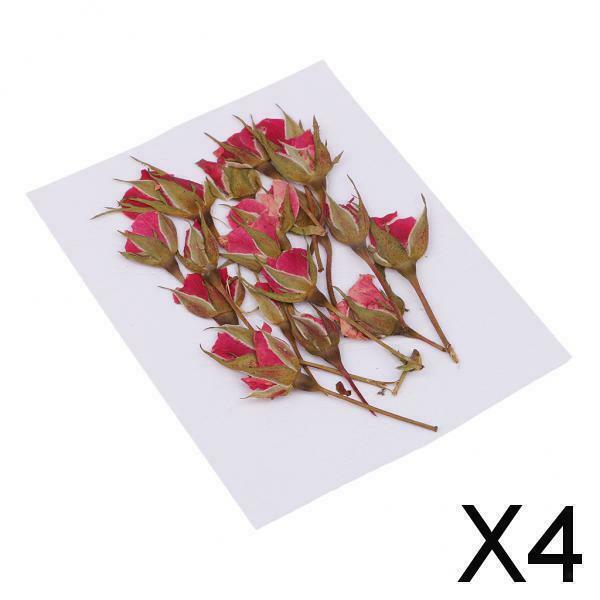 4X Real Dried Flowers Flower Decoration For DIY Art Craft Making Jewelry Making