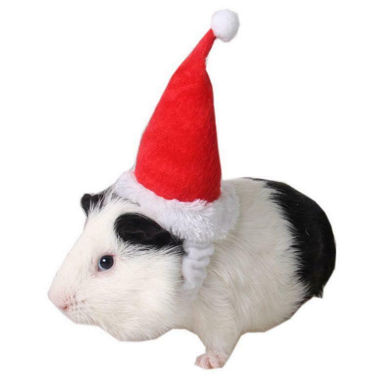 Small Animals Pet Santa Claus Hat Rabbit Hamster Guinea Pig Rats Christmas Cap