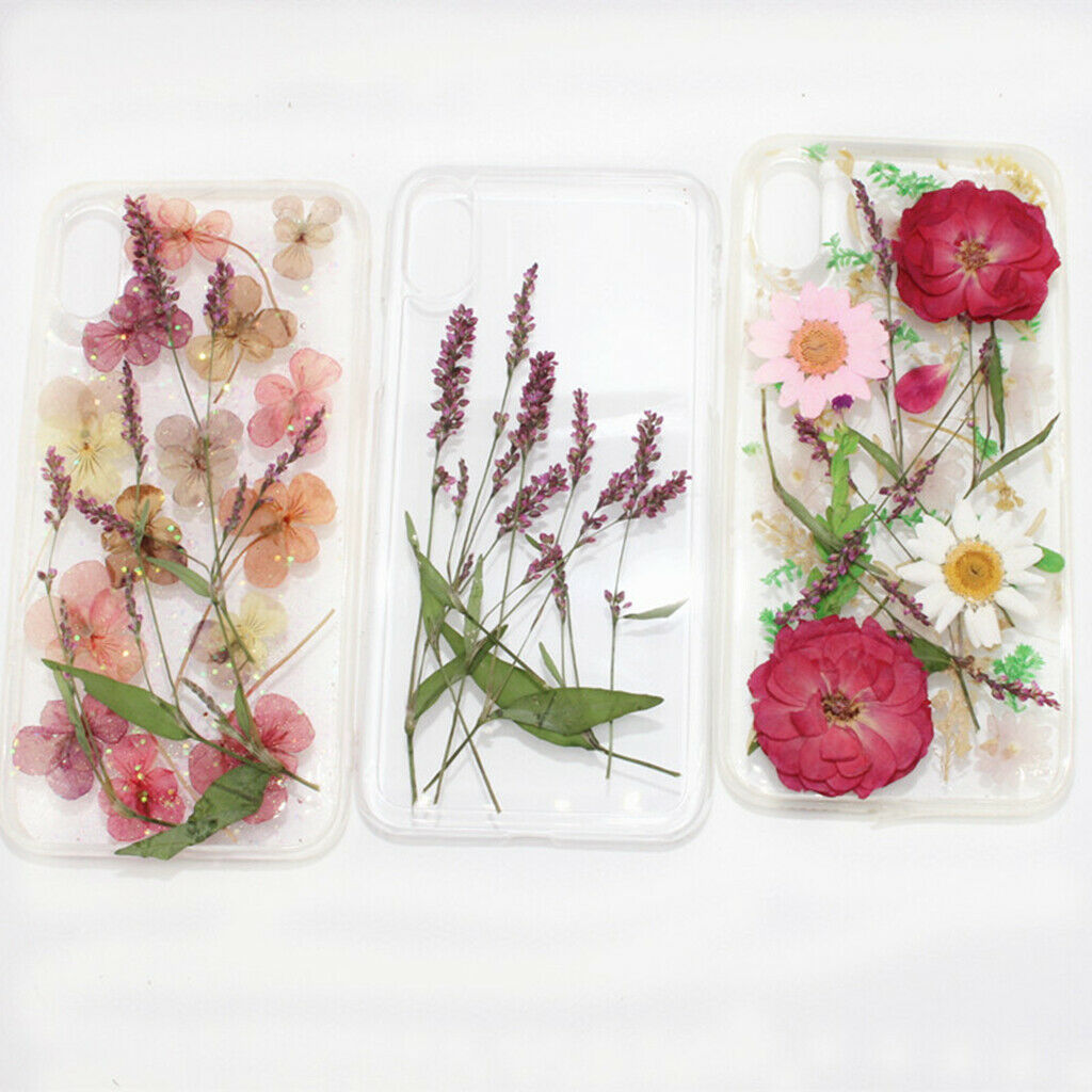 12 Pack Multiple Pressed Dried Flowers Leaves DIY Arts Crafts Scrapbooking Decor