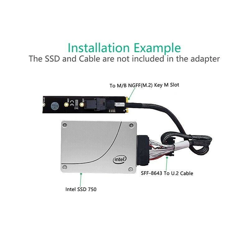 M.2 Module with Mini-SAS HD 36-Pin Connector for U.2 NVMe SSD (Upward miniSAS)