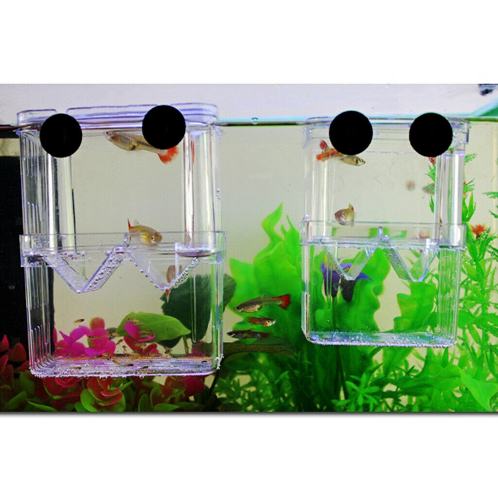 Clear Plastic   Hatchery Isolation Box   Tank Aquarium Incubator Box